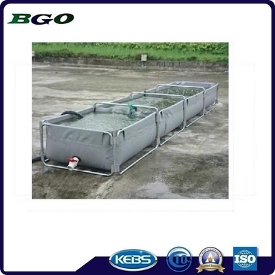 Accesible para los compradores de Qingdao