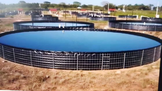 16m Diameter 301,440 Liters Collapsible Round Fish Pond PVC Tarpaulin Outdoor Fish Tank
