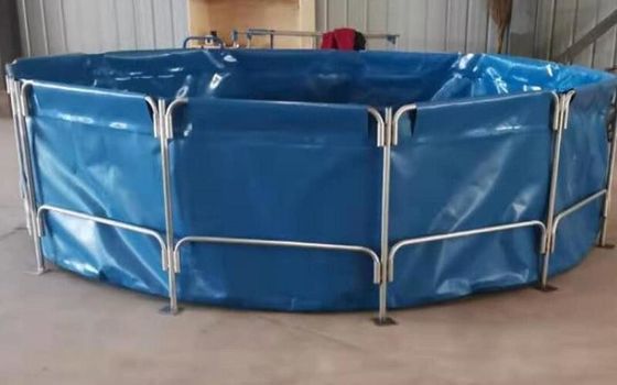 acuario plegable del PVC del diámetro de los 4m de la lona de la Tilapia del tanque plegable de la piscicultura