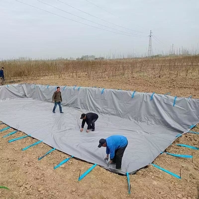 Estimulación de las emisiones de gases de efecto invernadero