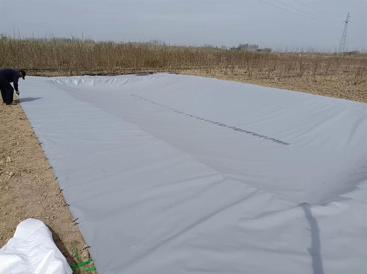 Estimulación de las emisiones de gases de efecto invernadero