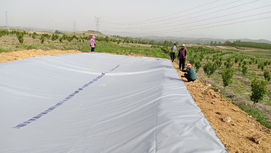 En el caso de las instalaciones de agua de lluvia de invernadero, el tanque de almacenamiento de agua de lonas de PVC para riego agrícola