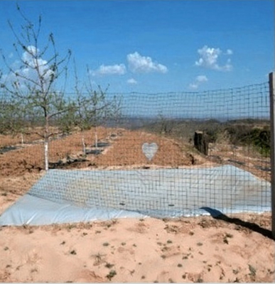Saco de recolección de agua de lluvia agrícola duradero para un almacenamiento eficiente