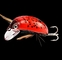 El escarabajo inestable flotante 8 del pequeño cebo de los piscardos colorea los 3.8cm/4.1g