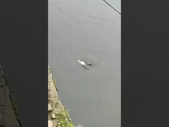 Cebo de señuelo de pesca Capa de natación completa Cebo falso Agua de mar y agua dulce