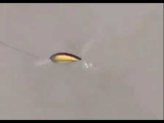 Señuelos de plástico Nuevos Rock Fat cebo de salmón pesca marítima cebo duro
