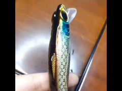 La pesca en alta mar lanza cebo duro