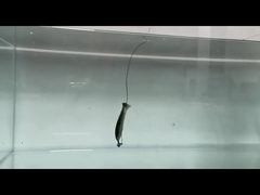 Señuelos Blandos de PVC para Locha, Señuelo Blando Falso de Silicona para Pesca